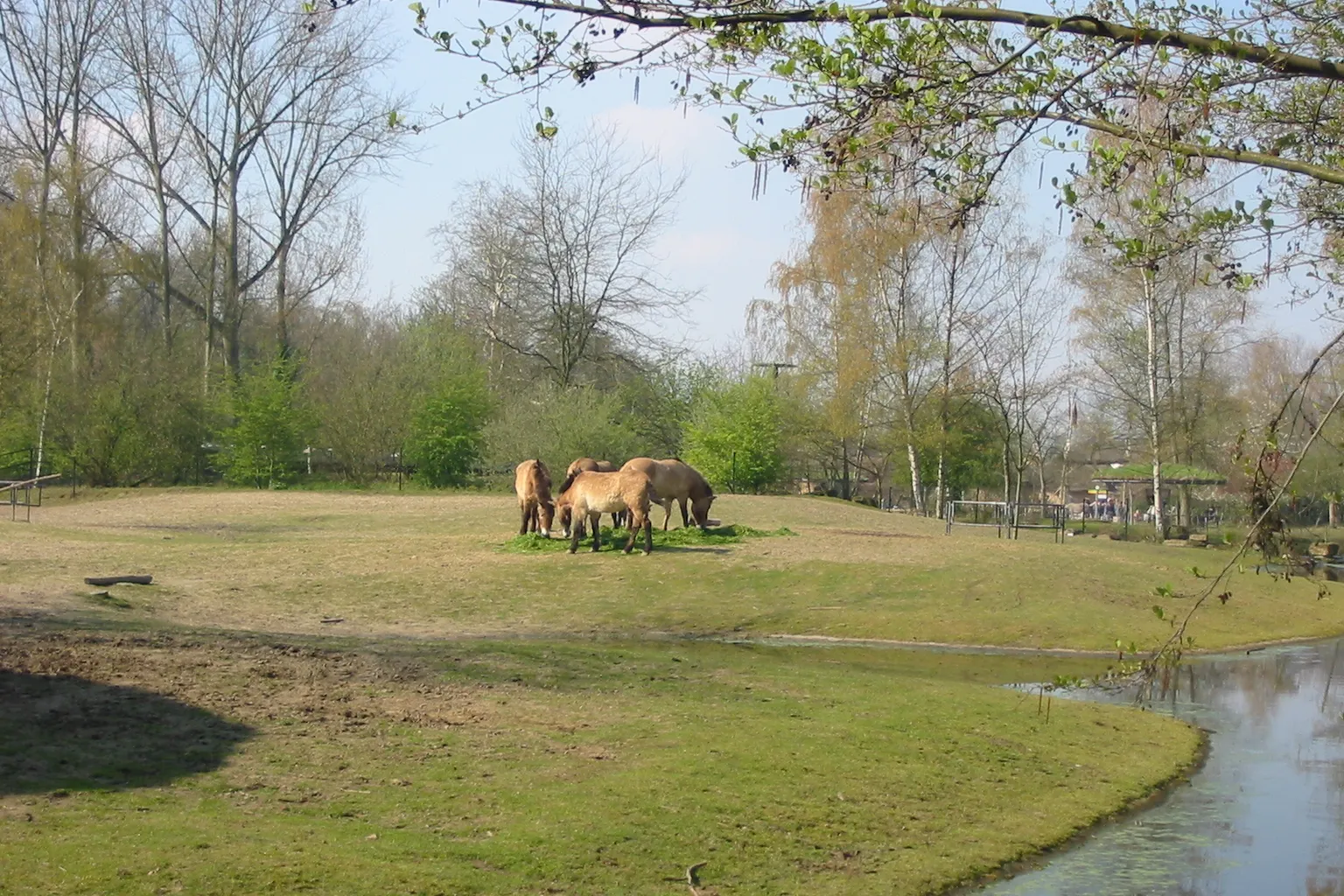 Billets pour le Zoo Planckendael : quelle formule choisir ?